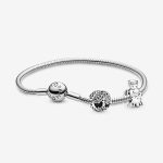charms de plata